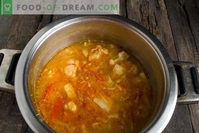 Magere Suppe mit Blumenkohl, Kokosnuss und Tomaten