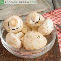 Geschmorte Bohnen mit Pilzen