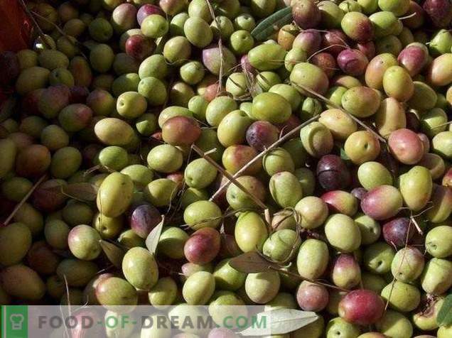 Oliven oder Oliven - was ist der Unterschied und Nutzen?