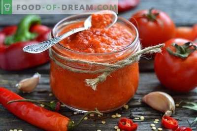 Selbst gemachter Ketchup aus frischen Tomaten und Paprika