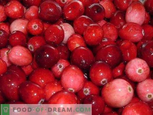 Cranberry verhindert Alterung