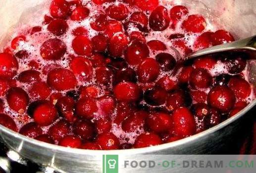 Cranberry verhindert Alterung
