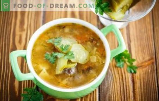 Gurke mit Pilzen - eine aromatische Suppe. Rezepte von einfach bis sehr einfach - wir kochen selbstgemachte Pickles mit Pilzen und fleischlosem Fleisch