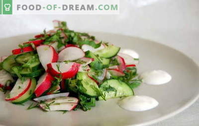 Lieblingsrezepte von einfachen Salaten in Eile. Einfache Salate in Eile für jeden Tag und für den Feiertagstisch