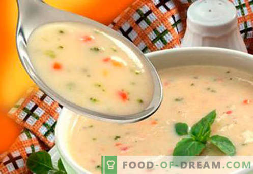 Suppen für Kinder - bewährte Rezepte. Wie man richtig und lecker Suppen für Kinder kocht.