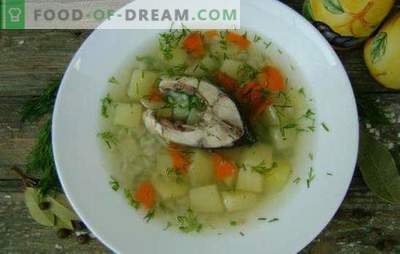 Karpfenfischsuppe - ein wohlriechender und gesunder erster Gang. Rezepte für Karpfensuppe: klassisch, mit Eigelb, Hirse, Gerste usw.