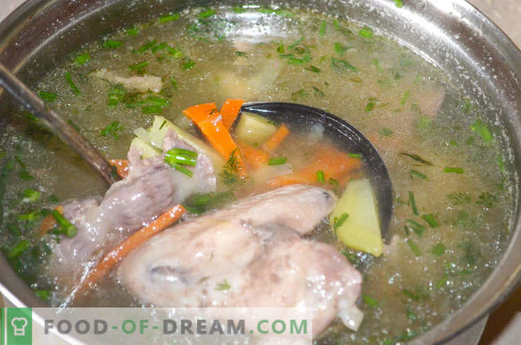 Suppe mit Hühnerbrüchen oder wie man Gleb Zheglov-Suppe zubereitet - ein Rezept