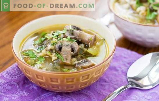 Pilzsuppe mit Graupen ist ein herzhaftes und leicht zu kochendes Gericht. Originalrezepte für Pilzsuppe mit Graupengerste