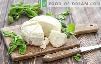 Sauermilchkäse ist ein natürliches Milchprodukt. Varianten des Kochkäses aus Joghurt zu Hause