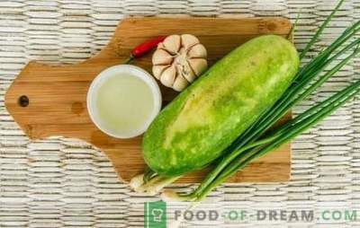 Zucchini mit Knoblauch: lecker, einfach und kalorienarm. Wie man alltägliche und festliche Zucchini-Gerichte mit Knoblauch zubereitet