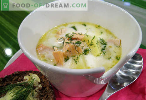 Makrelensuppe - die besten Rezepte. Wie man richtig und lecker Suppe und Makrele kocht.