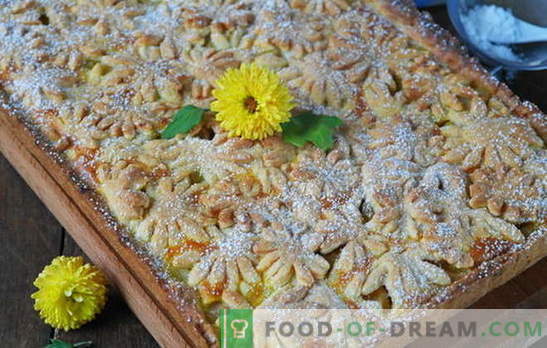 Ein Win-Win-Dessert ist ein sandiger Apfelkuchen. Teigvarianten und Füllungen für Sandkuchen mit Äpfeln
