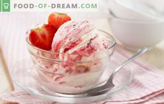 Selbstgemachtes Eis mit Erdbeeren - cremiger Kindheitsgeschmack. Die besten Rezepte für hausgemachtes Eis mit Erdbeeren, Feinheiten und Geheimnissen