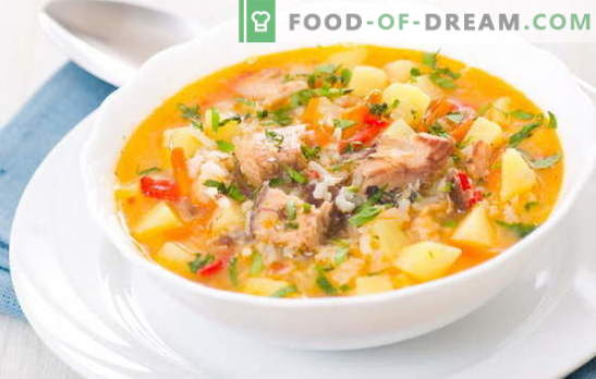 Fischsuppe mit Reis ist ein leichter, schmackhafter erster Gang zum Mittagessen. Die besten Rezepte zum Kochen von Fischsuppe mit Reis