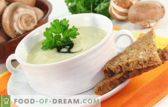 Pilzsuppe mit geschmolzenem Käse ist ein unvergessenes Gericht! Rezepte der besten Pilzsuppen mit Schmelzkäse