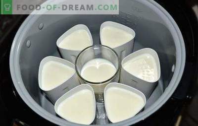 Joghurt in einem Topftopf in Gläsern ist eine gesunde, leckere Köstlichkeit. Joghurtsorten aus dem Multikocher in Gläsern