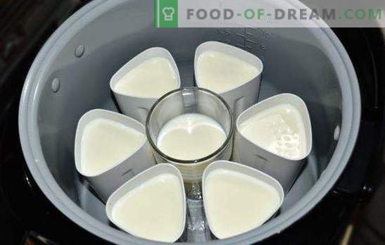 Joghurt in einem Topftopf in Gläsern ist eine gesunde, leckere Köstlichkeit. Joghurtsorten aus dem Multikocher in Gläsern