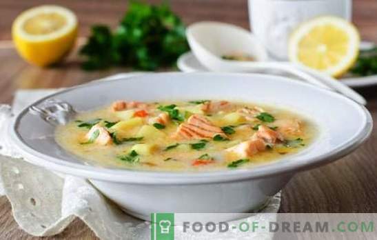Schmelzkäse-Suppe ist ein einfaches Gourmet-Gericht. Die besten Rezepte für Käsesuppen aus Schmelzkäse