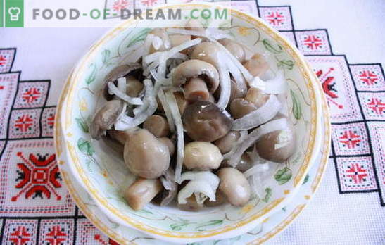 Marinierte Champignons zu Hause - köstliche Pilze! Wie man Champignons zu Hause in Essig legt: schnell, lecker