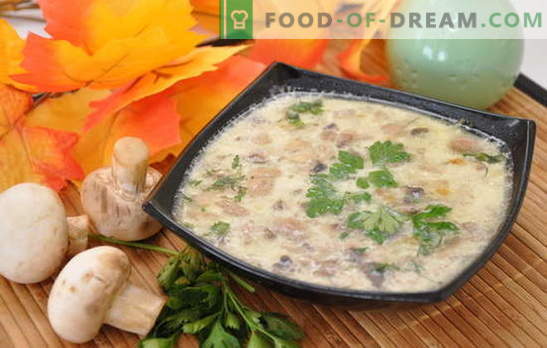 Extrêmement simple et unique en son genre - soupe aux champignons et pommes de terre. Sélection de soupes au champignon avec pommes de terre