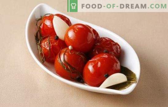 Gesalzene Tomaten für den Winter: eine Bank mit Vitaminen. Einfache und leckere Kochmöglichkeiten für gesalzene Tomaten für den Winter