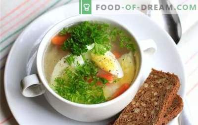 Hühnersuppe mit Ei - ein Gericht für Stimmung und Gesundheit! Verschiedene Rezepte für Hühnersuppen mit Eiern und Gemüse, Pilzen, Getreide