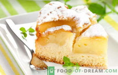Hausgemachte Muffins sind immer etwas Besonderes: Apfel-Kefir-Torten. Einfache Rezepte für Teig und Füllungen für Kuchen auf Apfelkefir