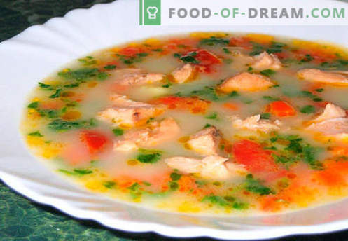 Lachssuppe - die besten Rezepte. Wie man richtig und lecker Lachssuppe kocht.