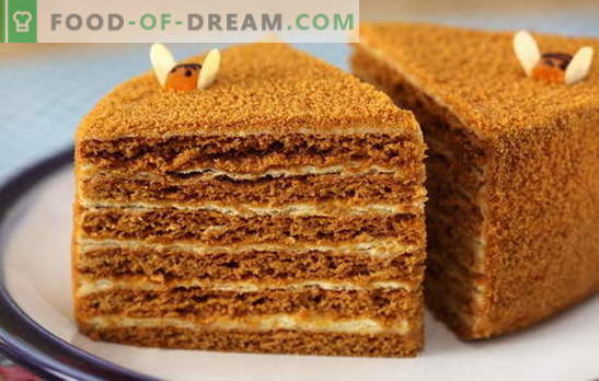 Honigkuchen mit Vanillepudding - zart! Einfach und komplex, mit Kondensmilch und Sauerrahm: Rezepte mit Honigkuchen mit Vanillepudding