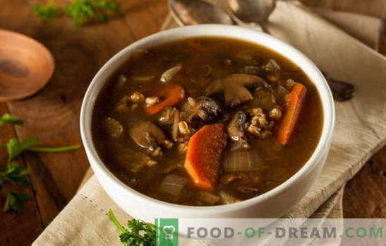 Magere Suppe mit Pilzen - möge es immer lecker sein! Verschiedene Rezepte für magere Suppen mit Pilzen und Müsli, Nudeln, Gemüse