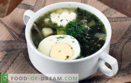 Grüne Suppe - Vitaminladung und strahlender Geschmack! Rezepte verschiedener grüner Suppe mit Sauerampfer und mit Kohl, Pilzen, Fisch, Brennnesseln, Bohnen