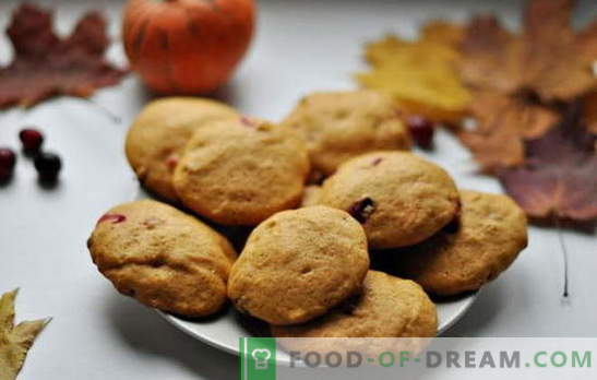 Einfache leckere Kekse auf Kefir - die Tradition des Selbstbackens. Rezepte einfache Kekse auf Kefir: Haferflocken, mit Zimt, Schokolade, Nüssen, Mohn usw.