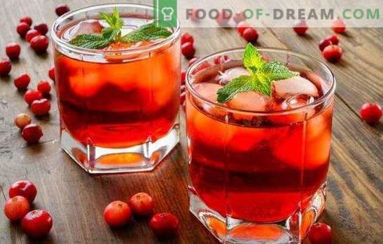 Hausgemachte Cranberry-Tinktur - die nützlichste Beere. 2in1: unübertroffener Geschmack und Nutzen hausgemachter Cranberry-Tinkturen