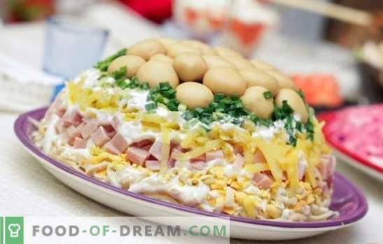Schichtsalat mit Schinken - ein Vorspeise für alle Gelegenheiten. Rezepte Blätterteigsalat mit Schinken, Kartoffeln, Pflaumen, Pommes