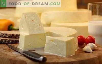 Wie man Suluguni schnell zu Hause kocht: das Rezept für jungen Weißkäse. Zu Hause kochen Sie leichten Suluguni-Käse