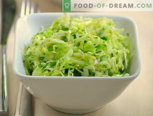 Kohl- und Gurkensalate - fünf beste Rezepte. Wie man richtig und lecker Salate mit Kohl und Gurken kocht.