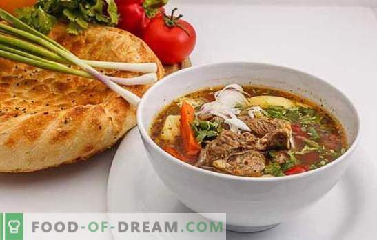 Shurpa in Usbekisch ist eine Win-Win-Version von nahrhaftem Hot. Kochgeschmack, köstlicher usbekischer Shurpa mit Lamm, Rind