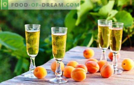 Die heimischen Winzer enthüllen die Geheimnisse einfacher Aprikosenweine. Rezepte für verschiedene hausgemachte Aprikosenweine