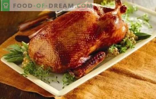 Hausgemachte Ente im Ofen: Rezepte für einen rötlichen, saftigen und duftenden Vogel. Kochen Sie hausgemachte Ente im Ofen mit Schritt-für-Schritt-Rezepten