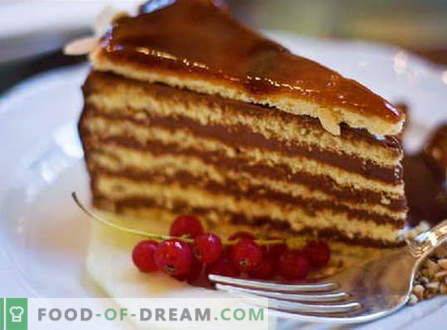 Kuchen aus dem Kuchen - die besten Rezepte. Wie man richtig und lecker einen Kuchen aus dem Kuchen macht.