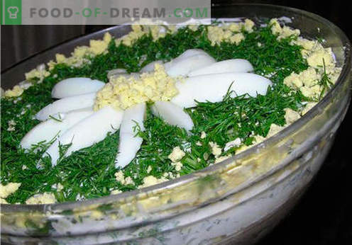 Kamillensalat - eine Auswahl der besten Rezepte. Wie man richtig und lecker den Salat 