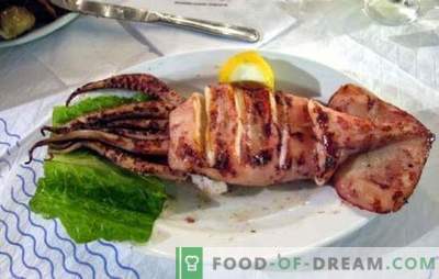 Gegrillte Tintenfische - Meeresfrüchte in einer neuen Version! Verschiedene Rezepte für herzhafte, zarte und duftende gegrillte Tintenfische