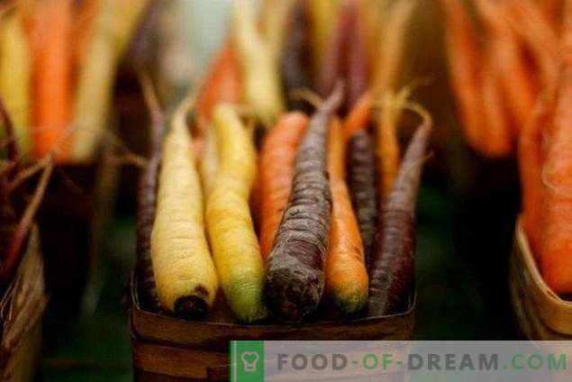 Nützliche Eigenschaften von Karotten