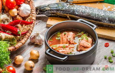 Fischsuppe zu kochen ist eine heikle Angelegenheit! Fischsuppe aus dem Fluss oder roten Fisch mit Gerste, Hirse, Konserven, Garnelen, Tomaten zubereiten