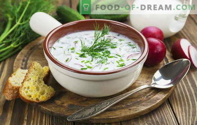 Okroshka, Rote-Bete-Suppe und andere Suppen auf Kefir, Gemüse und Fleisch. Italienische, Spanische und Russische Rezepte für Suppen auf Kefir