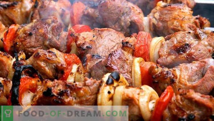 5 beste Marinaden für Kebab - wählen und kochen Sie Ihren Original-Kebab