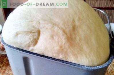 Teig für Weiße im Brotbackautomaten